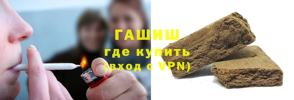 тгк Ельня