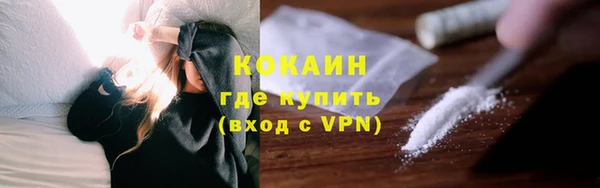 дмт Елизово