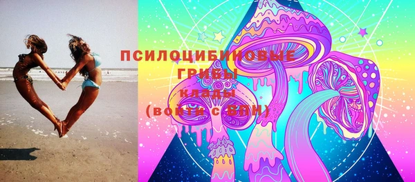 дмт Елизово
