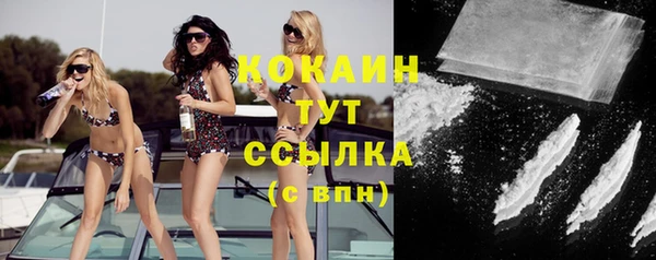 тгк Ельня