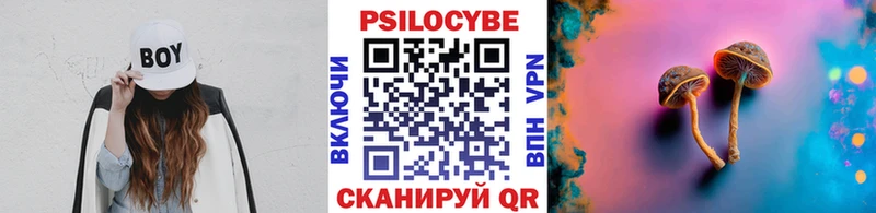 Галлюциногенные грибы Magic Shrooms  где купить наркотик  MEGA вход  Ефремов 